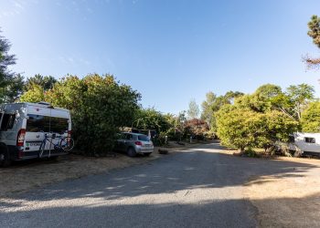 News: Level 2…Should we stay or should we go?